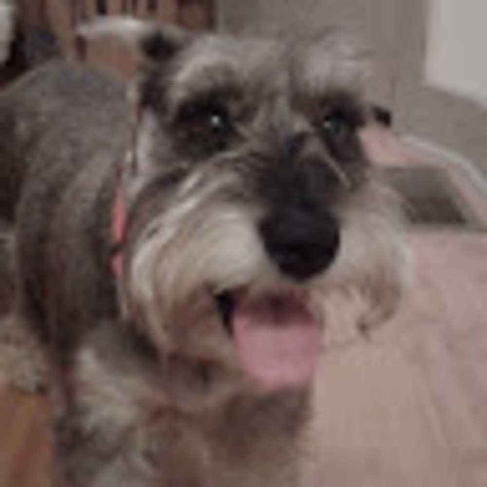 Meet your Posher, Morgan